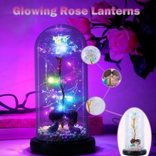 Eternal Preserved Rose Flower In Glass Dome With Lamp Valentine Home Decor New