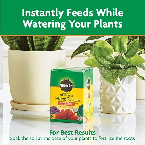 Miracle-Gro Water Soluble All Purpose Plant Fertilizer for Indoor or 1.5 Lb. - Picture 10 of 13