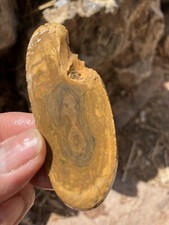 Royal Imperial Jasper Slab