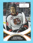 2024-25 Medicine Hat Tigers #28 Cayden Lindstrom! Columbus Blue Jackets!
