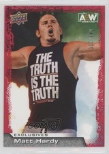2022 Upper Deck AEW All Elite Wrestling Exclusives 48/100 Matt Hardy #41 0f1g