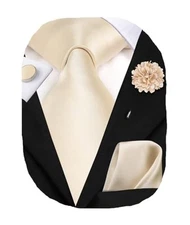  Mens Tie Set Silk Striped Woven Necktie with Lapel Pin Pocket Champagne Bright