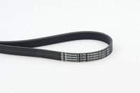 Continental Ctam 6PK1019 Elast Keilrippenriemen FüR Ford, Mazda