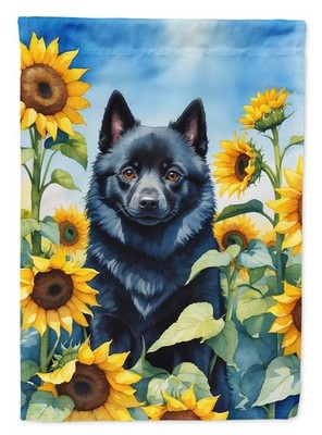 Schipperke In Sunflowers Flag