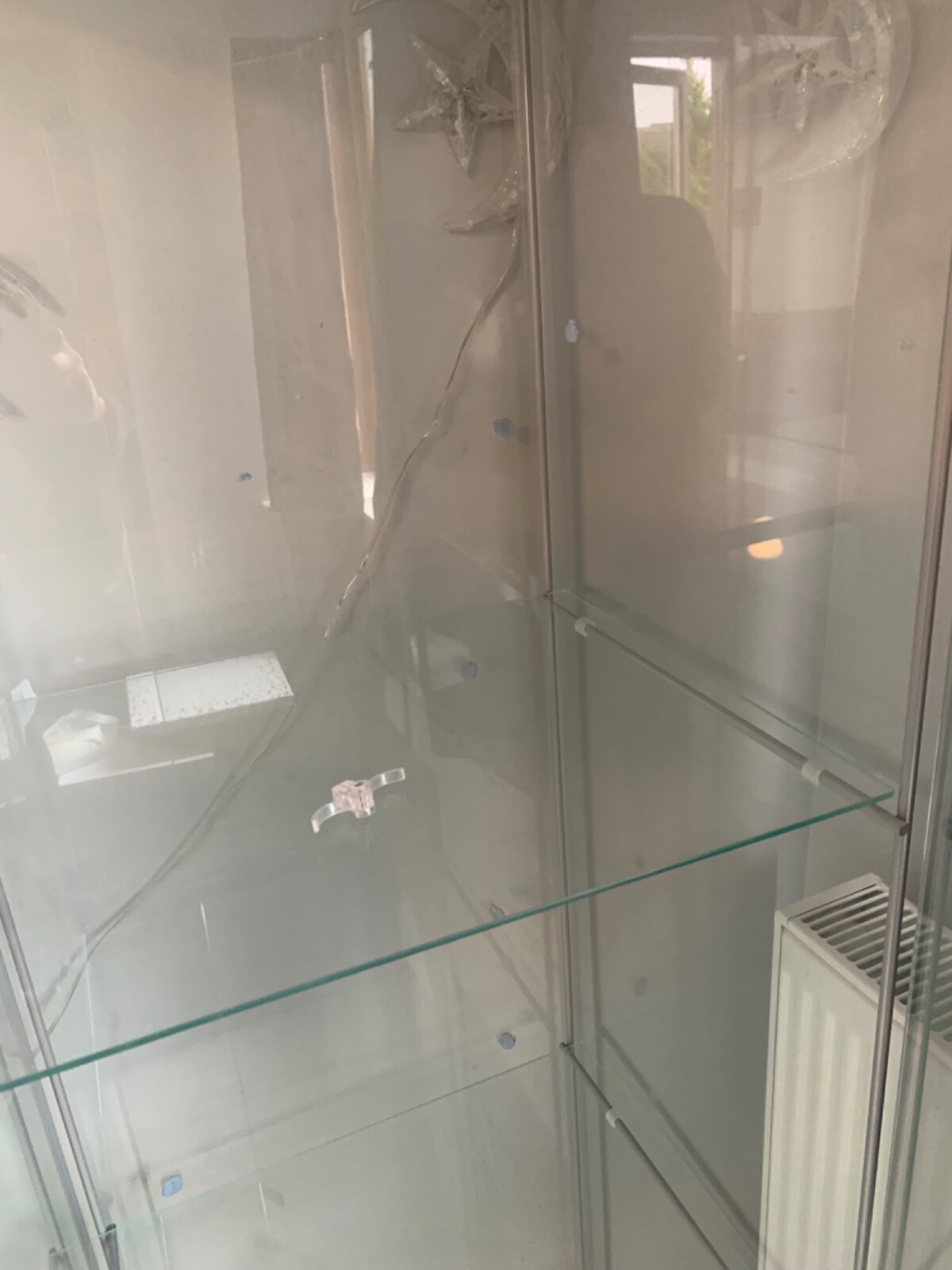 glass display eBay