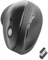 Kensington® K75501EU Maus Pro Fit® Ergo Vertikal Kabellos Schwarz