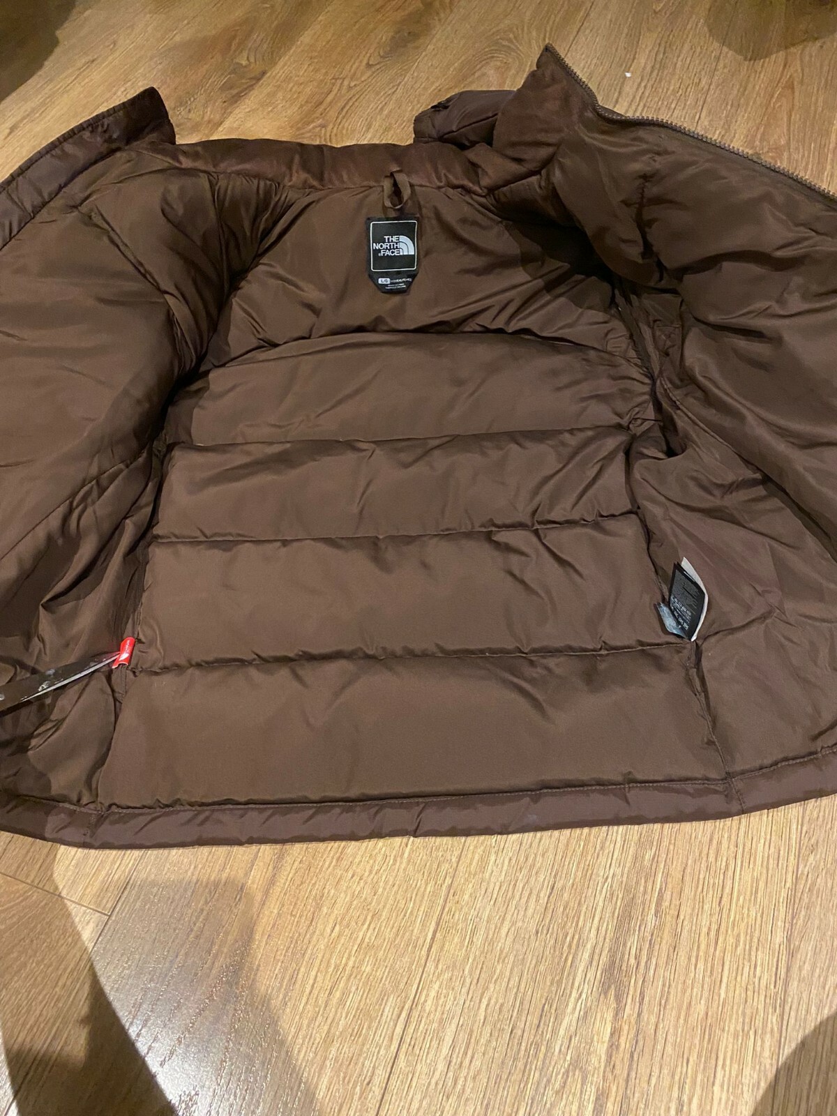 Brown Nuptse 700 Jacket. Kendall Jenner 