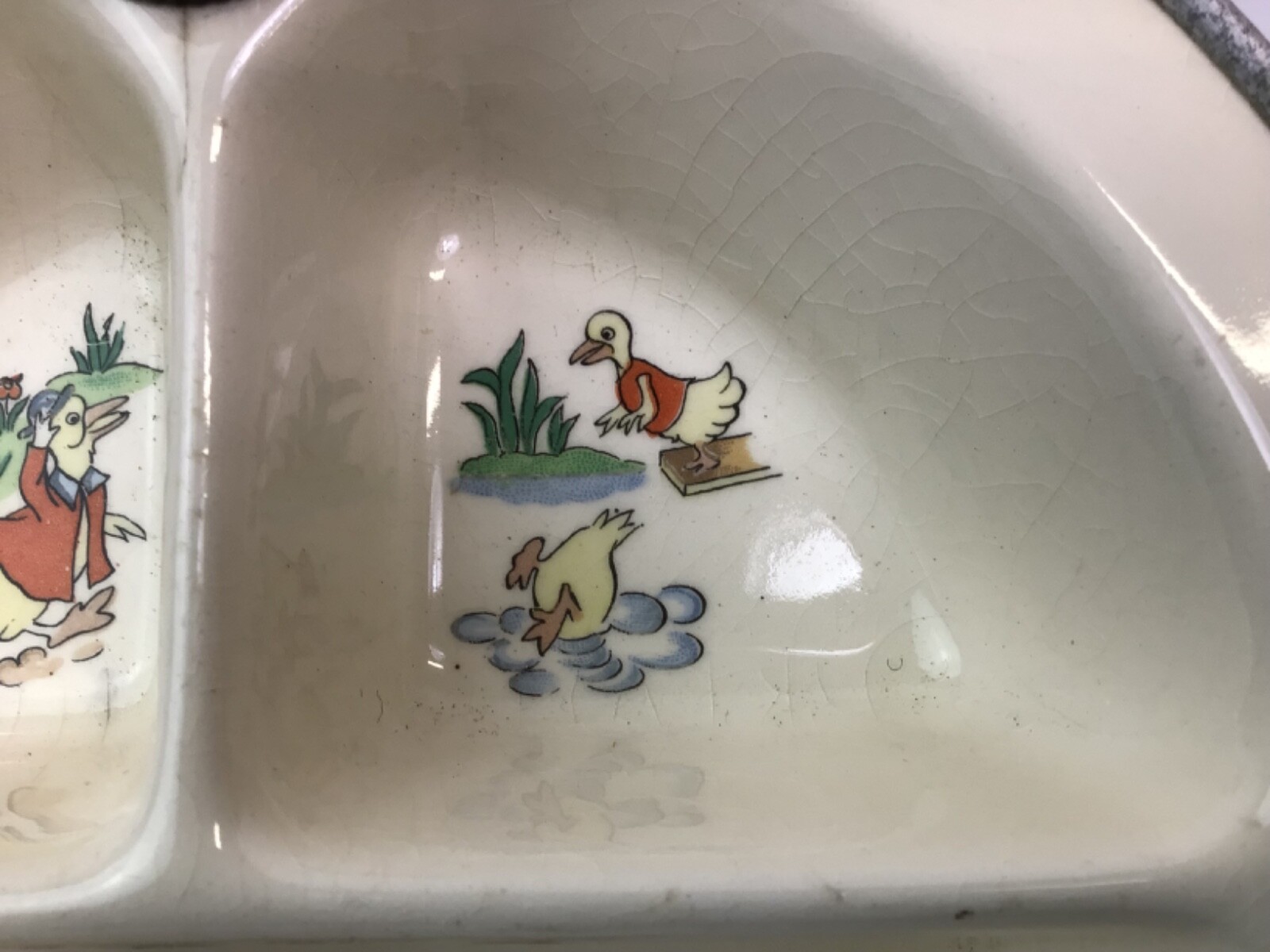 Picture 6 of 16