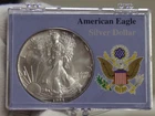 1994 US Silver Eagle $1 Nice Unc Edge Toning in Case