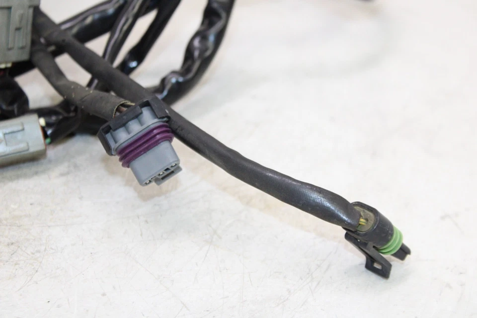 Harley-Davidson Electra Glide 2004 FLHT motor fabricante de equipos originales subcables arnés de cableado Foto 3 de 4