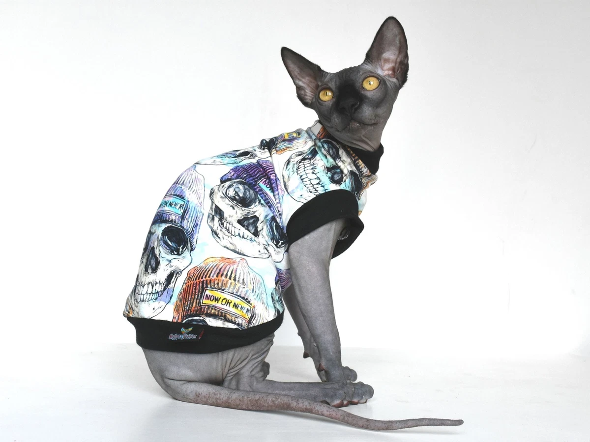 Cat clothes best sale ebay
