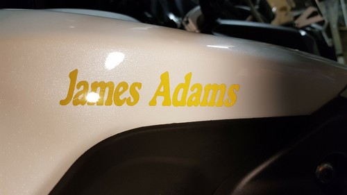 2 x PERSONALISED/CUSTOMISED MOTORBIKE MOTORCYCLE TANK FAIRING NAME STICKERS - Picture 24 of 25