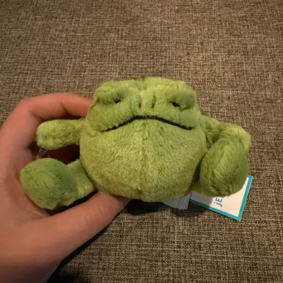 Rare Jellycat Ricky Rain Frog Plush Keychain Bag Charm NWT 2026