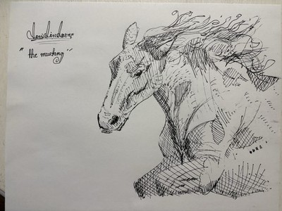 Levi Lindauer  Original Handmade Signed Horse Mustang Ink Drawing on Paper