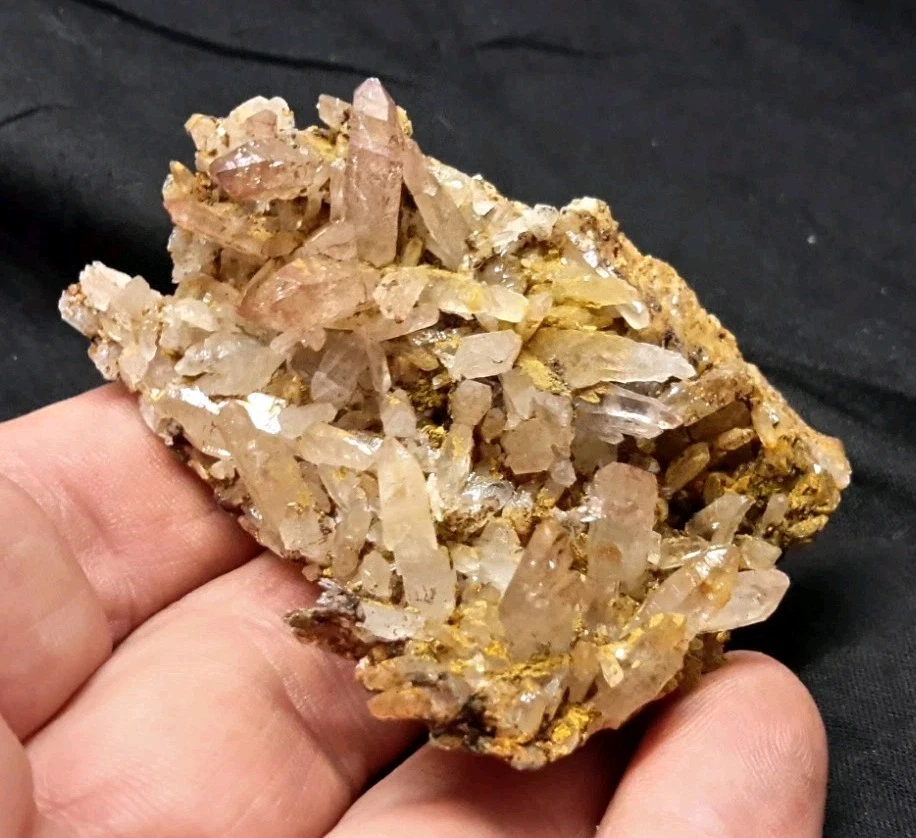 Picture 5 of 11