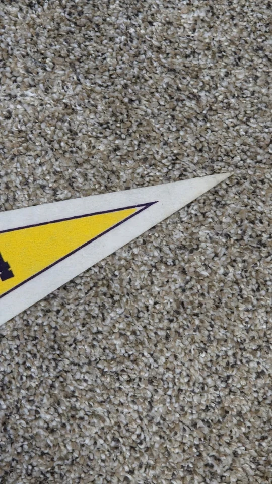 Herschel Walker Minnesota Vikings Pennant Pennants Cowboys Eagles USFL - Image 4 of 4