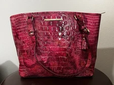Brahmin Purse