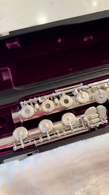 Trever James Fanfare 1 Flute, MINT condition, intermediate and