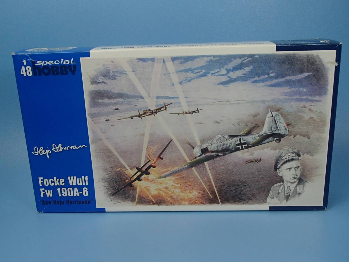 超人気 1/48 スペシャルホビー フォッケウルフ フラホ ACE Fw190A-6 ドイツ