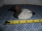 Vintage Hand Carved Canvasback Drake Duck Decoy Signed — photo 2