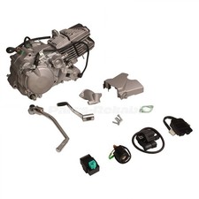 190cc Daytona 4-Valve Electric Start Anima 19...