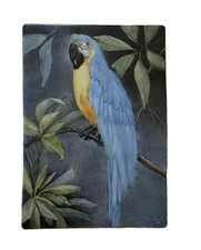 Ceramic Tile - Blue Macaw Parrot - - 5