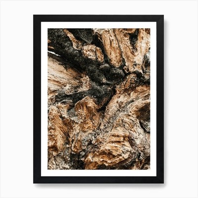 Künstlerischer Holz Natur Kunstdruck Gerahmt Wandbild Poster Leinwanddruck Bild
