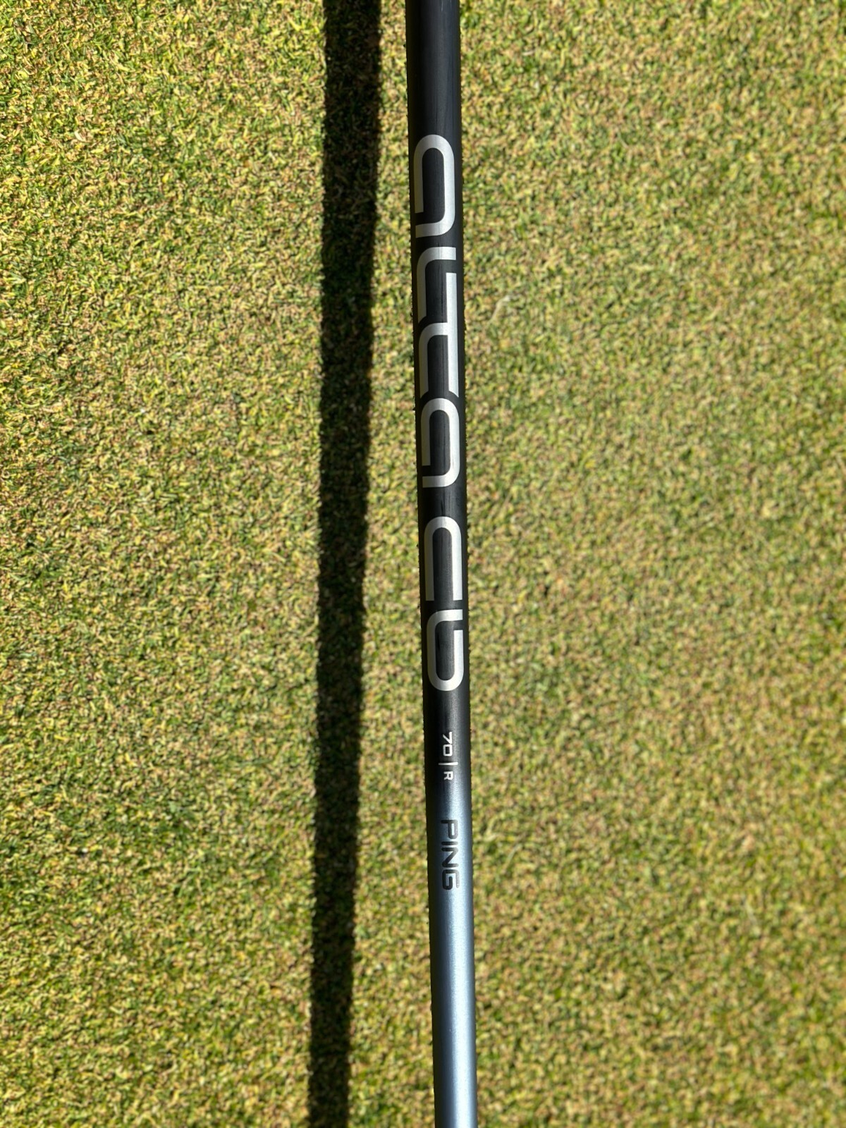 Picture 5 of 6