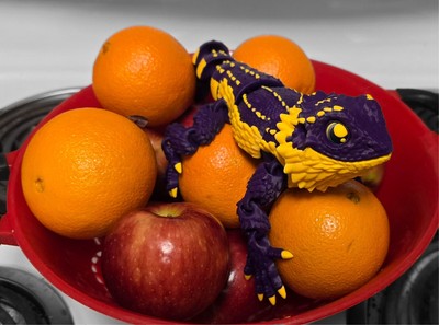 3D Printed Articulated Animals and Creatures Multicolor ToonzFactory 