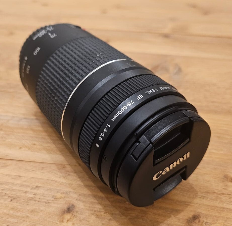 Canon EOS 1300D DSLR Camera Black (kit W/ EFS 1855mm & EF 75300mm Lenses) eBay