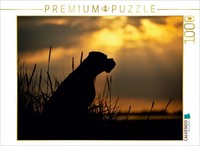 Calvendo Puzzle Hund Im Gegenlicht Am Meer 1000 Teile Puzzle Quer | 1000 Teile L