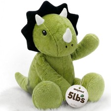 BRICHOEE 5lbs 12 inches W x 16 L x 20 H , Dinosaur