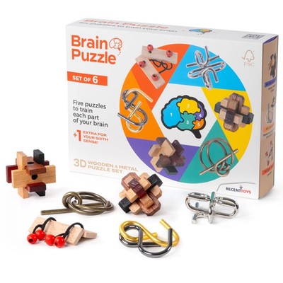 Recent Toys RT5144 Brain Puzzle Set of 6, Brown