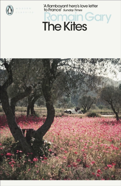 The Kites by Romain Gary (Paperback Book)
