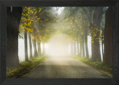 Gerahmtes Wandbild Nebliger Morgen Landschaft Poster Leinwanddruck Bild