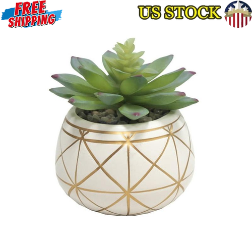 Artificial Succulent Geometric Ceramic Pot Decorative Indoor Plant Home