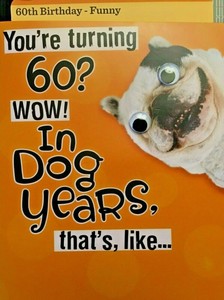 60 in dog years