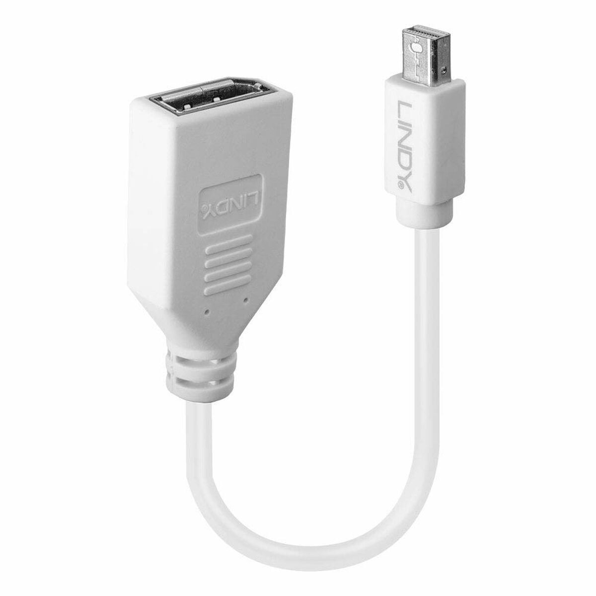 Thumbnail - Adapter Mini Displayport An Displayport Lindy 41021 Weiß
