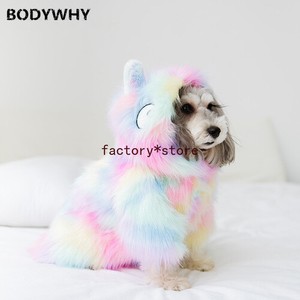 rainbow dog clothes