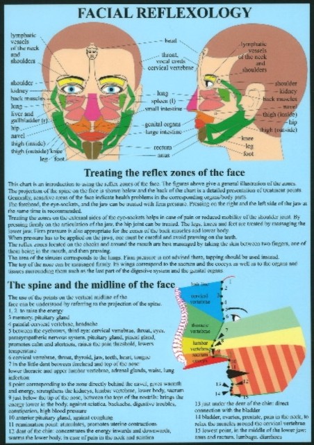 Facial Reflexology -- A4 by Jan van Baarle (Poster)