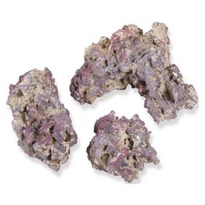 Aragonitic Life Rock 40 lbs By Caribsea