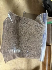 Black Walnut, Wood, Chips, shavings, sawdust  ~  1 Pound  ~  For Smoking