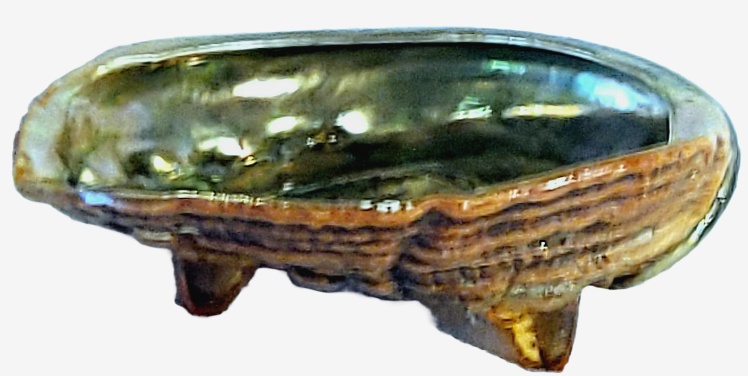 MCM  Red Abalone Ashtray Seashell Trinket Bowl Amber Lucite Tripod Feet 1960-70