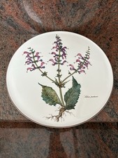 Villeroy und Boch Botanica Tortenplatte ohne Rand, Kuchenplatte