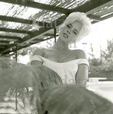 1960s Photo-sexy blonde pinup girl Tracy Masters-cheesecake t811388