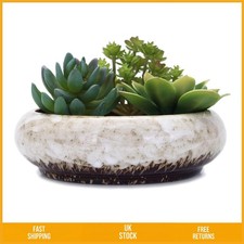 Elegant Round Shallow Ceramic Succulent Planter Pots with Drainage 7.3 Inch
