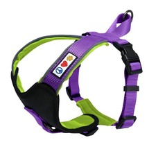 Reflective Dog Harness - Padded, Provides Comfort  Control for Walks or Runn...