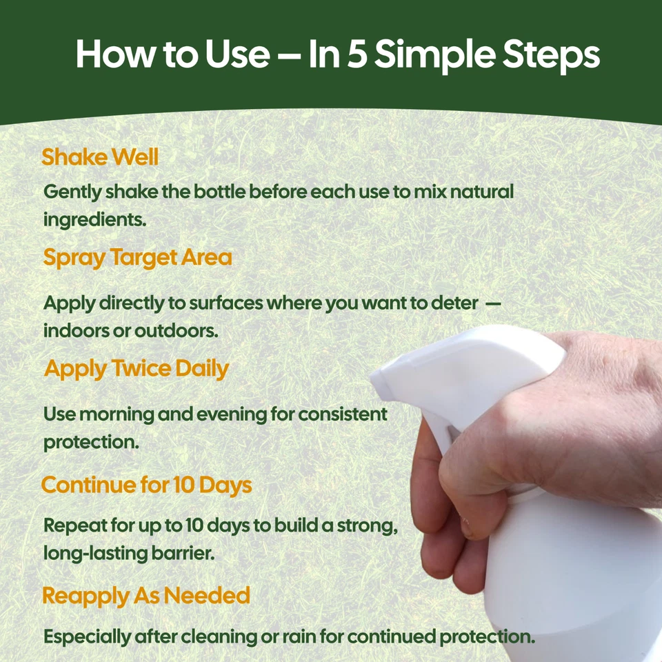 Stop Spider Repellent Deterent Spray. Safe & Natural. 500ml Indoor and Outdoor - Image 4 of 4