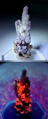 **WOW- Fluorite Fluorescent Calcite Pyrrhotite on Quartz crystals, mine Mexico**