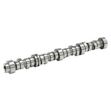 Camshaft for Chevy SaVana Express Van GMC 2500 Chevrolet 3500 1500 Silverado H3